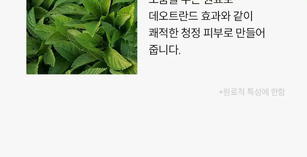 [등드름/체취케어] 낫포유 지성피부전용 등드름/가드름 클리어 올인원 바디워시 포맨 500ml 상세페이지 37